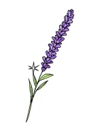Lavender with a small star tattoo design idea