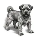 Border Terrier tattoo design idea