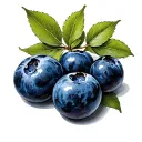 Blueberry tattoo design idea