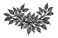 Mandala and willow branches tattoo design idea