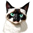 white cat with heterochromia eyes looking tattoo design idea