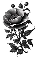 poppy vine and spiderweb tattoo no background tattoo design idea