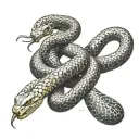 King cobra snake tattoo design idea