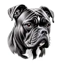 Cane Corso tattoo design idea
