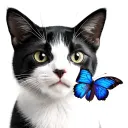 black and white cat with butterfly on his nose mixed with semicolon  tattoo design idea