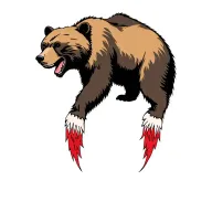 cherokee bear tattoo design idea