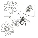 Daisy, bee, and honeycomb in the shape of a semicolon. Fine line black and grey tattoo design idea