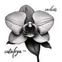 I want to draw my daughter Name on my fore arm , her name is " cataleya= orchids" and she is born on 24-12-2023, tattoo design idea