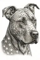 graphite pencil style pitbull head with stars as a background tattoo design idea