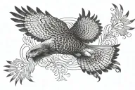 soaring red tailed Hawk viewed from above  tattoo design idea
