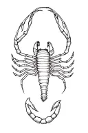 scorpion trust no one piece luffy tattoo design idea