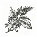 coffee plant, coffee beans growing same branch tattoo design idea