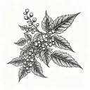 coffee plant, coffee beans growing same branch tattoo design idea