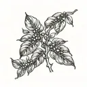 coffee plant, coffee beans growing same branch tattoo design idea
