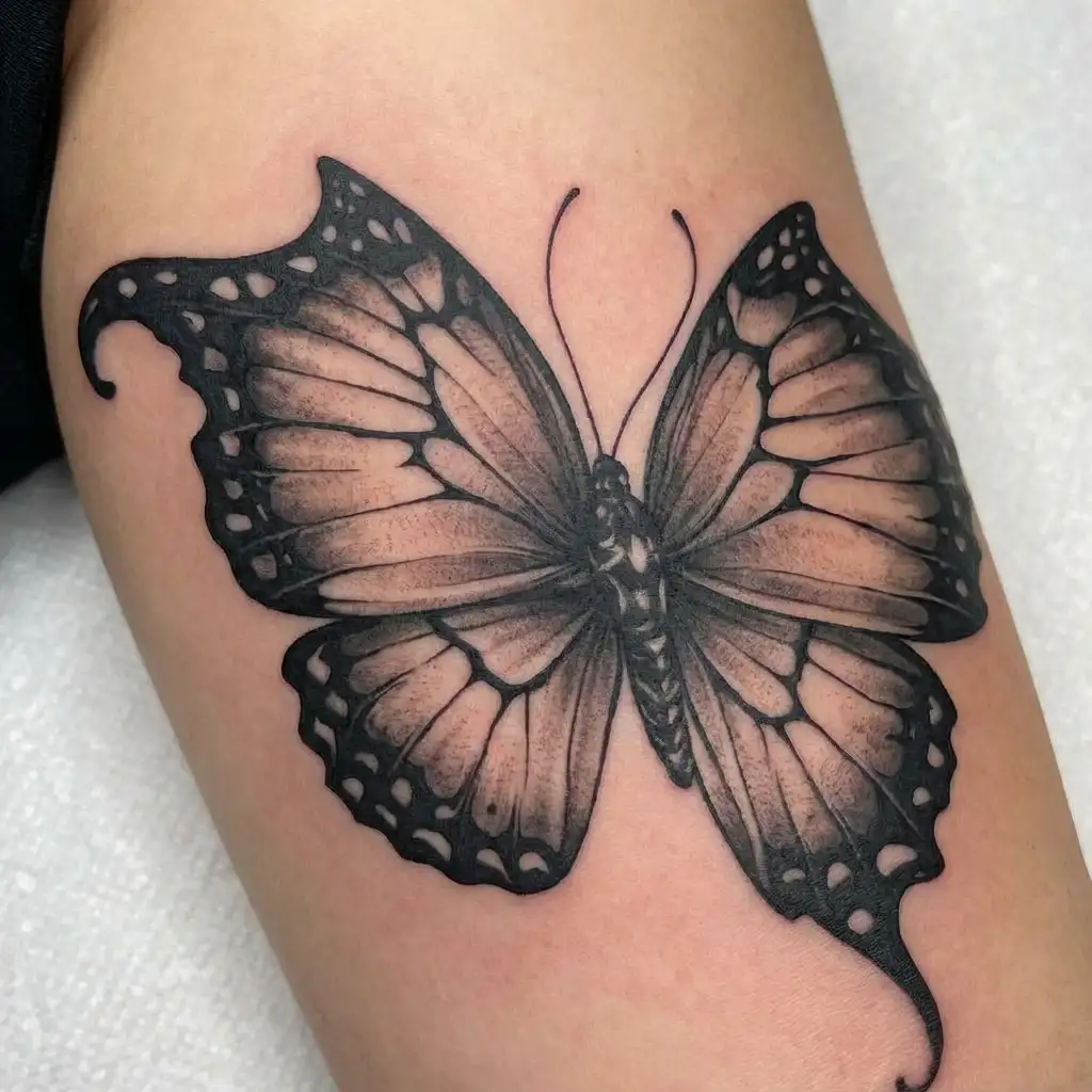 butterfly butthole tattoo design idea