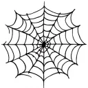 traditional spider web tattoo for a knee tattoo tattoo design idea