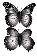two butterflies tattoo design idea