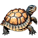 shellback turtle tattoo design idea