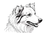 border collie with a J portrait tattoo design idea