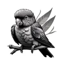 lorikeet tattoo design idea