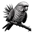 lorikeet tattoo design idea