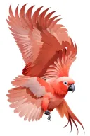 red tail cockatoo flying tattoo design idea