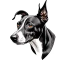 whippet tattoo design idea