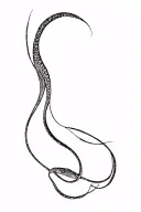 eel tattoo design idea