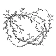 vines tattoo design idea