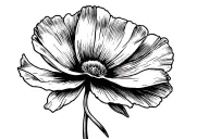 California poppy growing tattoo design idea