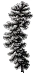 pine tree branch tattoo design idea