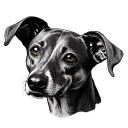 whippet dog face tattoo tattoo design idea