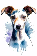 Whippet tattoo design idea