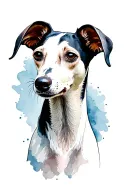 Whippet tattoo design idea