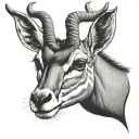 Springbok tattoo design idea