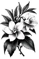 pomegranate and narcissus flower tattoo design idea