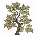 walnut tree with big, round crown. Able the tree the Ursus major constellation connected with lines tattoo design idea