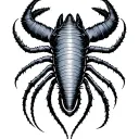 anomalocaris tattoo design idea