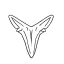Shark Tooth tattoo design idea