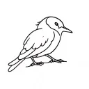 kiwi bird tattoo design idea