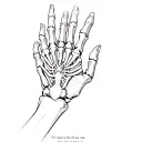 spider web on hand with skeleton fingers and the quote "It's easy to find a new one but its hard to find a true one" tattoo design idea