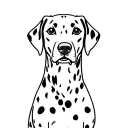Dalmatian dog tattoo design idea
