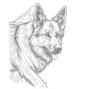 long haired german shepherd dog looking back on a mountain trail tattoo design idea