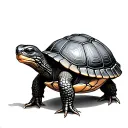 Box Turtle tattoo design idea