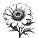 Calendula tattoo design idea