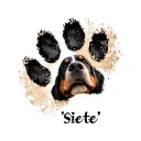 "Siete" bernese mountain dog paw print tattoo design idea