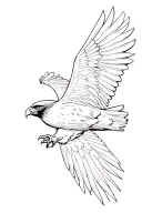 red tailed hawk soaring with wings outstretched. tattoo design idea