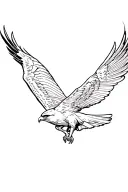 red tailed hawk soaring with wings outstretched. tattoo design idea