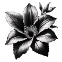 Clematis tattoo design idea