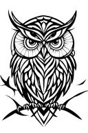 night owl eyes scroll style outline drawing tattoo tattoo design idea